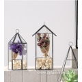 Square Clear Glass Plant Vase Flower Terrarium